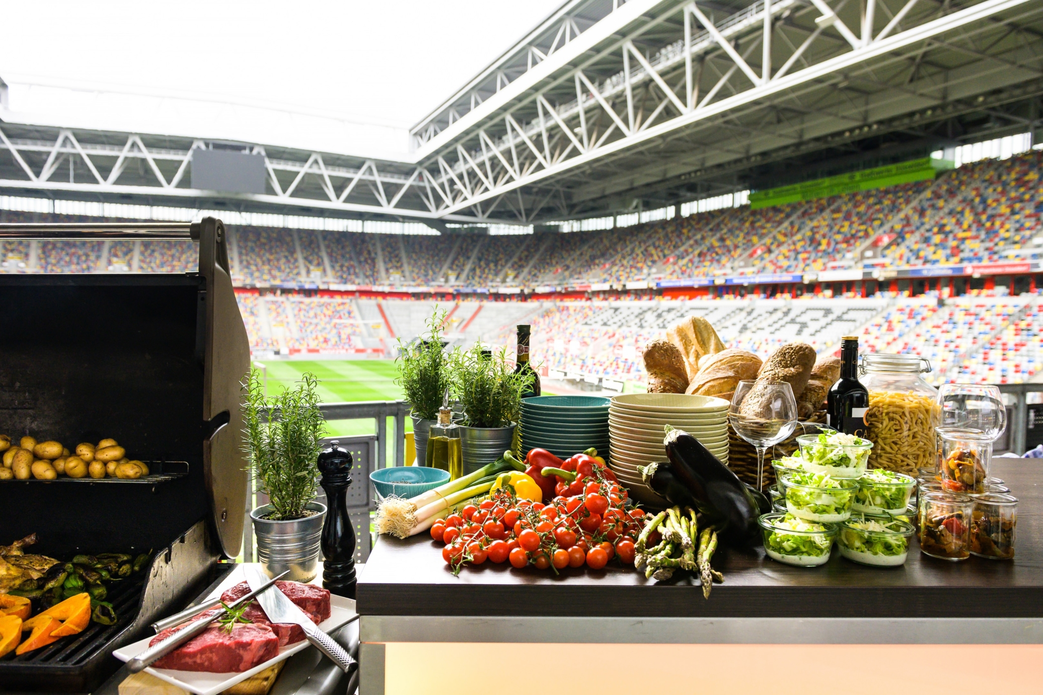 Startseite, tulipinndusarena.com